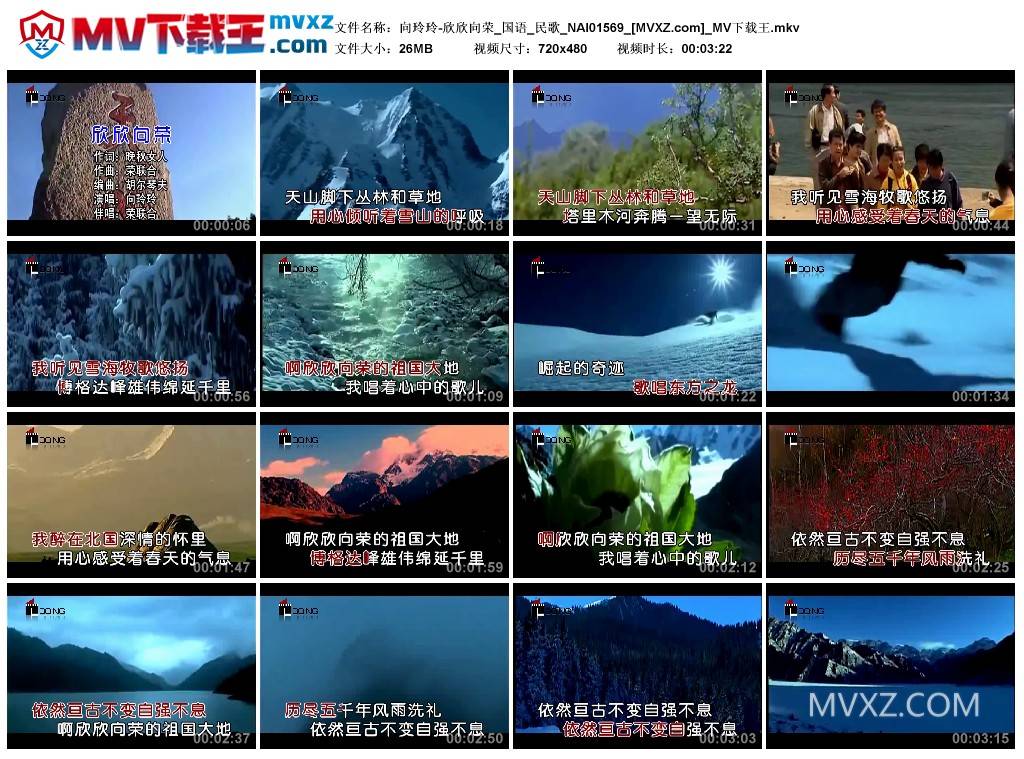 向玲玲-欣欣向荣_国语_民歌_NAI01569